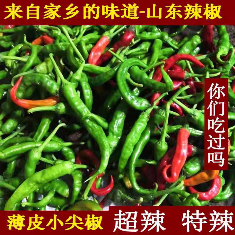 农家露天种植青红辣椒