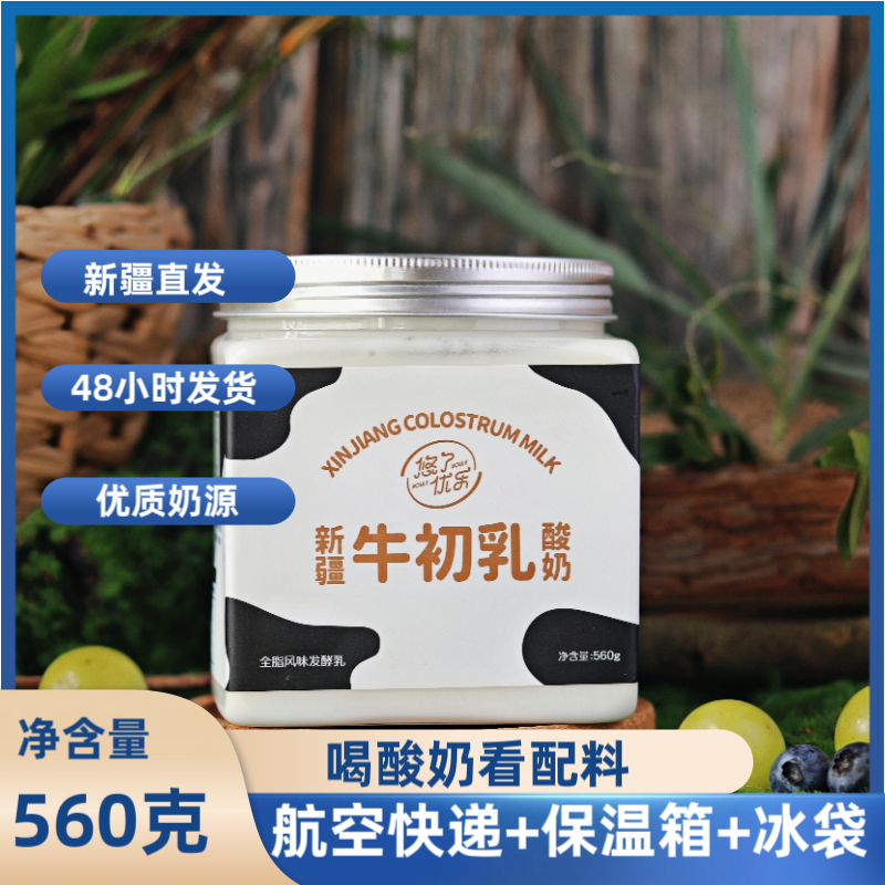 新疆牛初乳酸奶 悠了优乐新疆直发 牛初乳酸奶560g/瓶 德邦空运