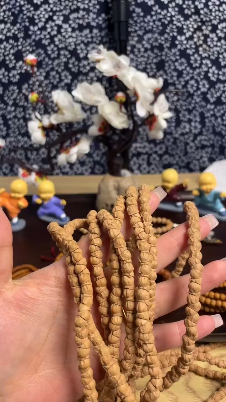 手串柏香籽/百香籽大肠