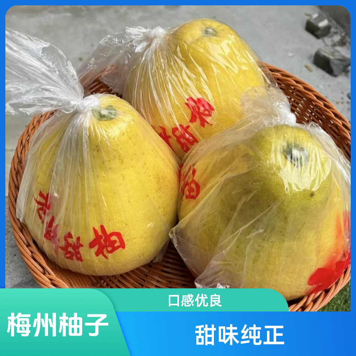 梅州老树沙田柚子纯甜特产耐放包邮