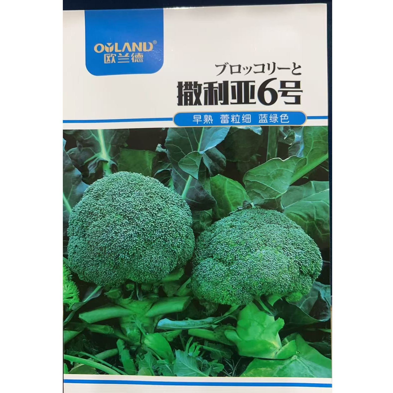 2000粒撒利亚6号西兰花种子