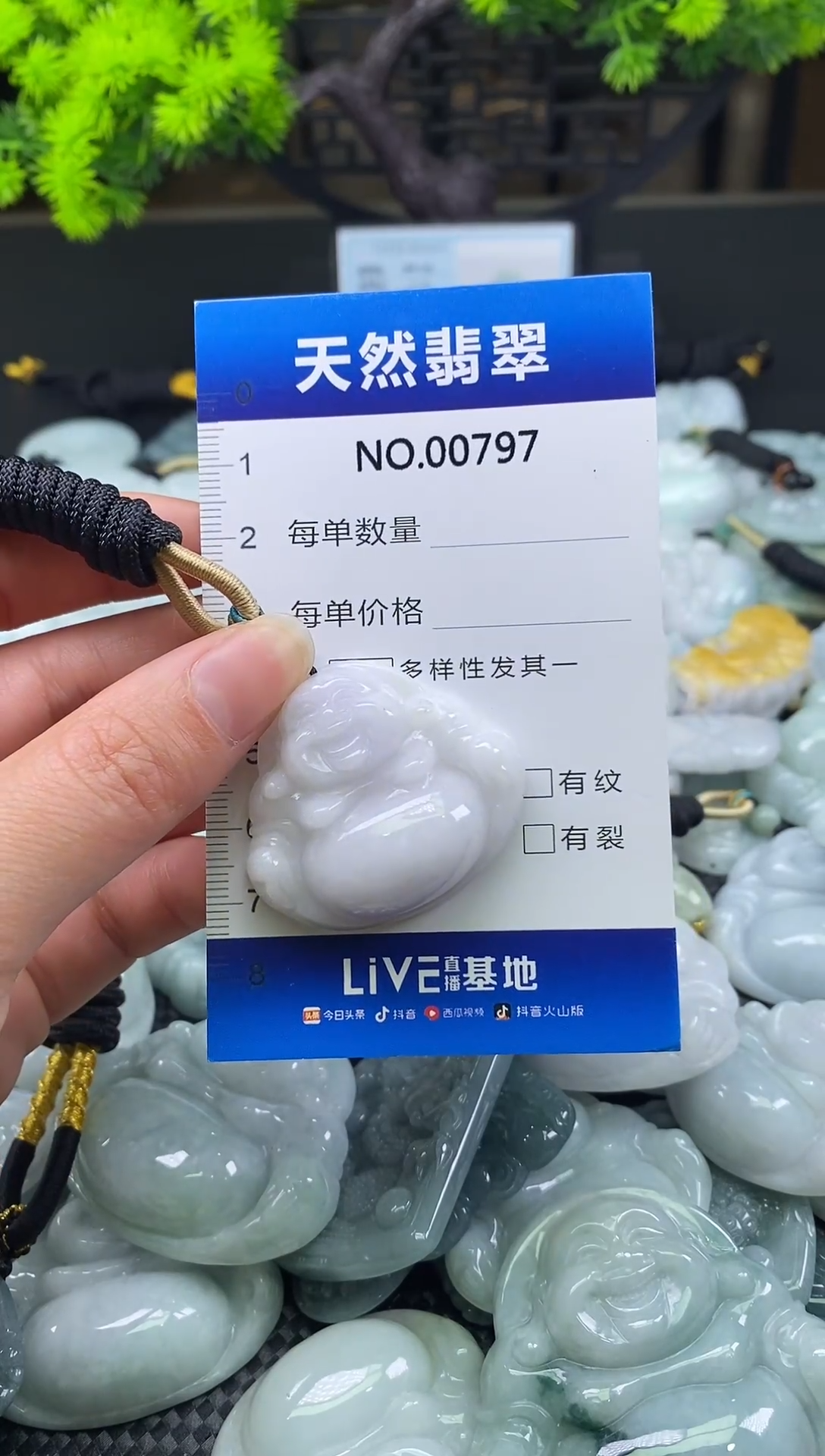 颈饰未镶嵌翡翠天然缅甸翡翠797