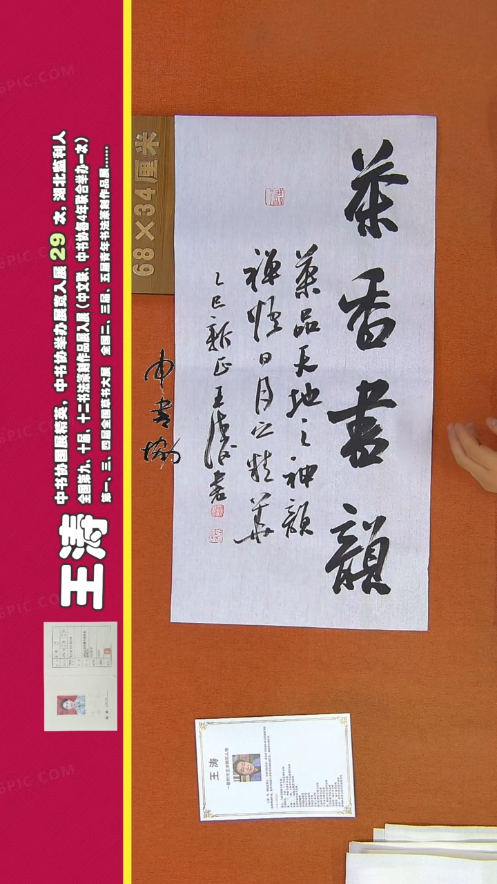 【闪购商品】书法110王涛书法作品