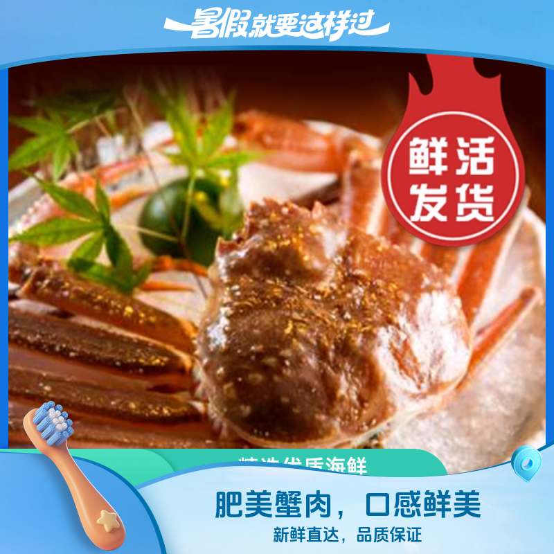 【鲜活次日达】约750g1只俄罗斯鲜活松叶蟹板蟹长脚蟹海鲜特大螃蟹非帝王蟹