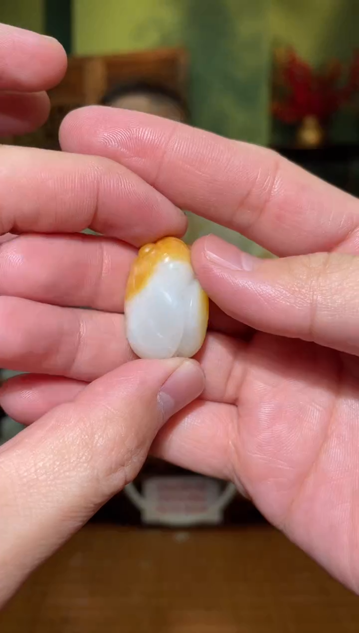 【闪购商品】和田玉吊坠(不含链)未镶嵌蝉15g