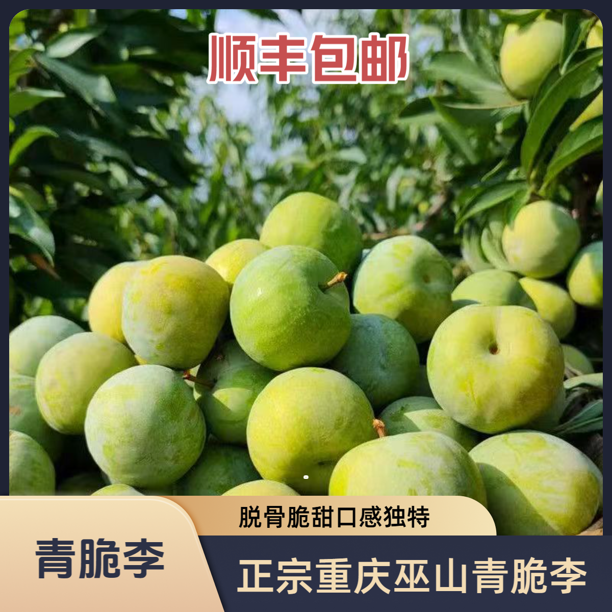 【顺丰包邮】重庆巫山青脆李脱骨脆甜脱骨李新鲜孕妇水果当季现摘