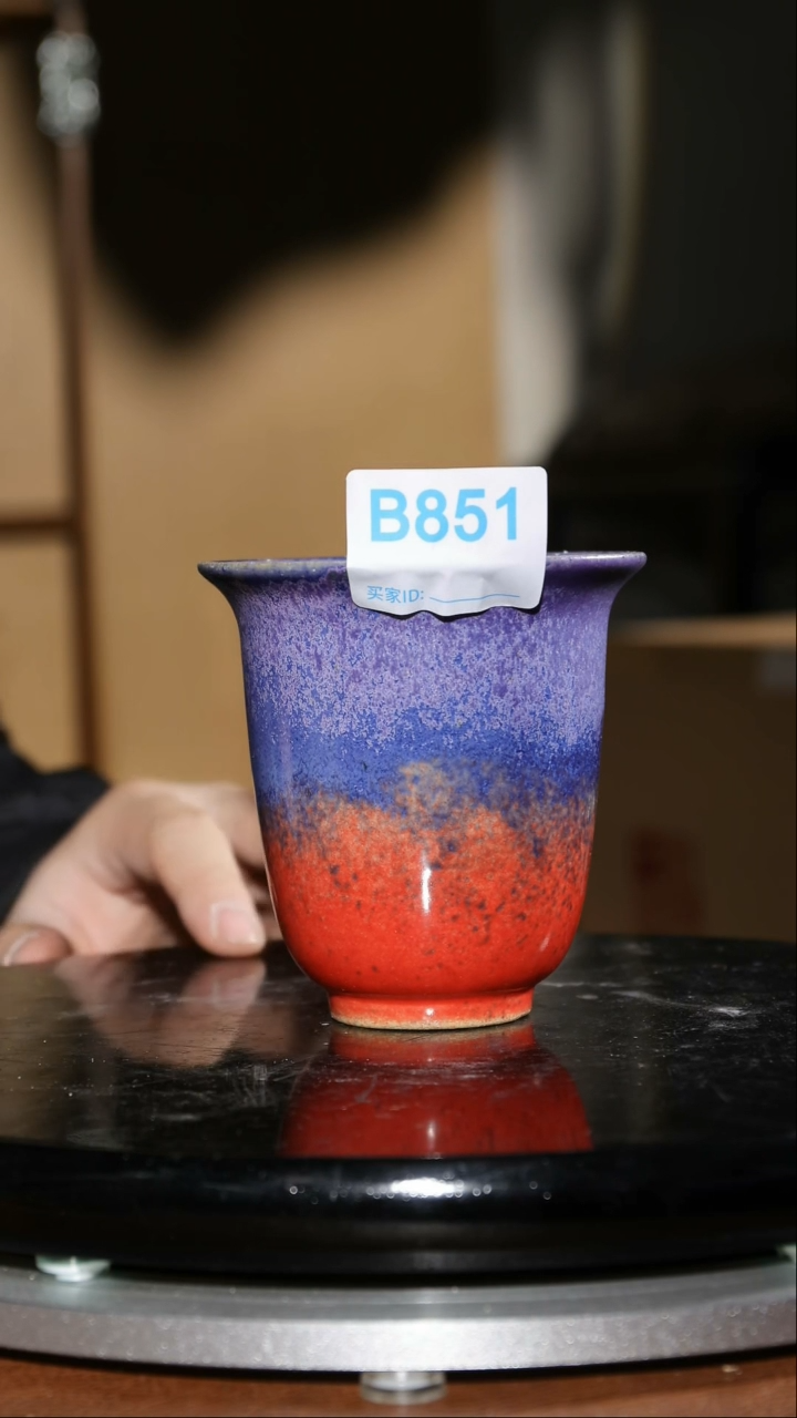 【闪购商品】红陶851