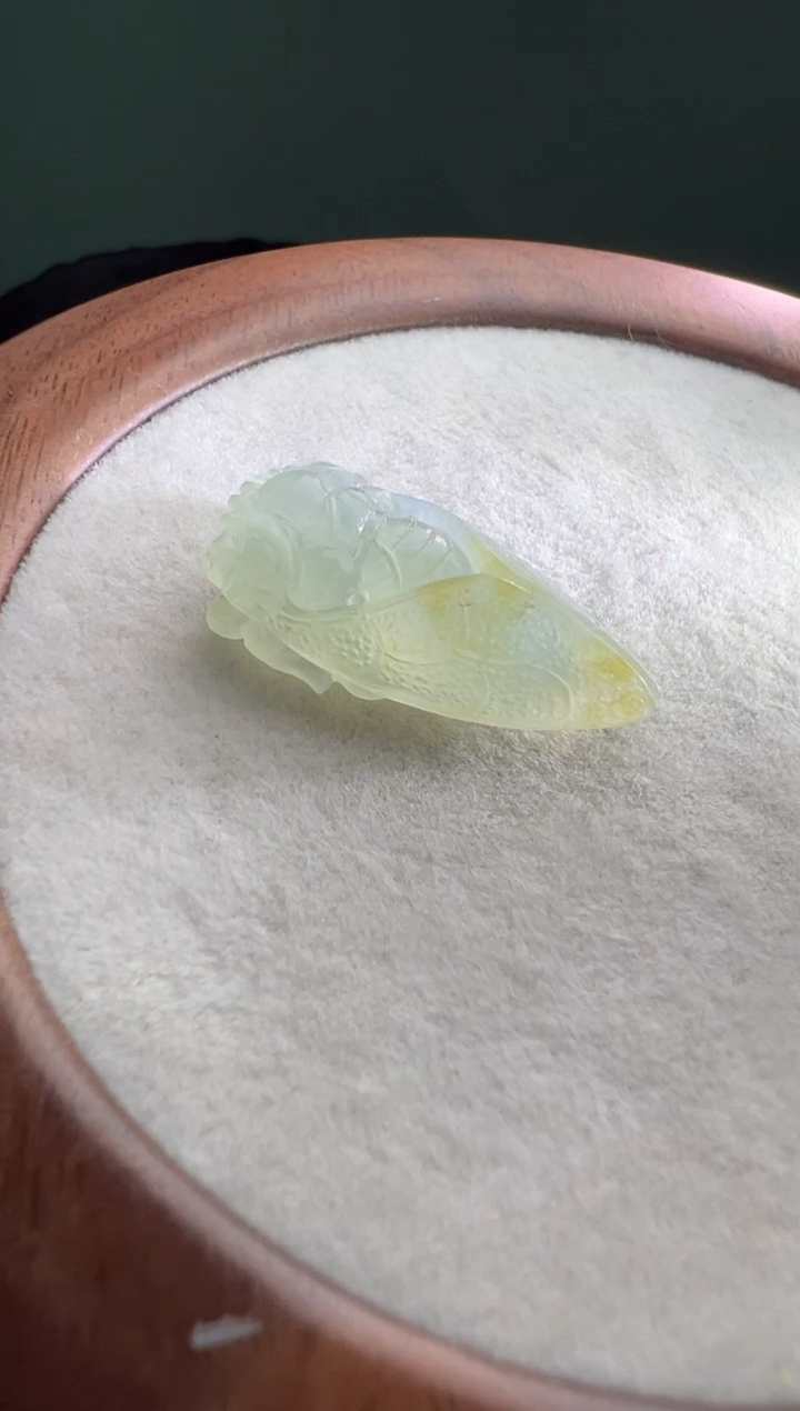 未镶嵌定制翡翠冰玉蝉