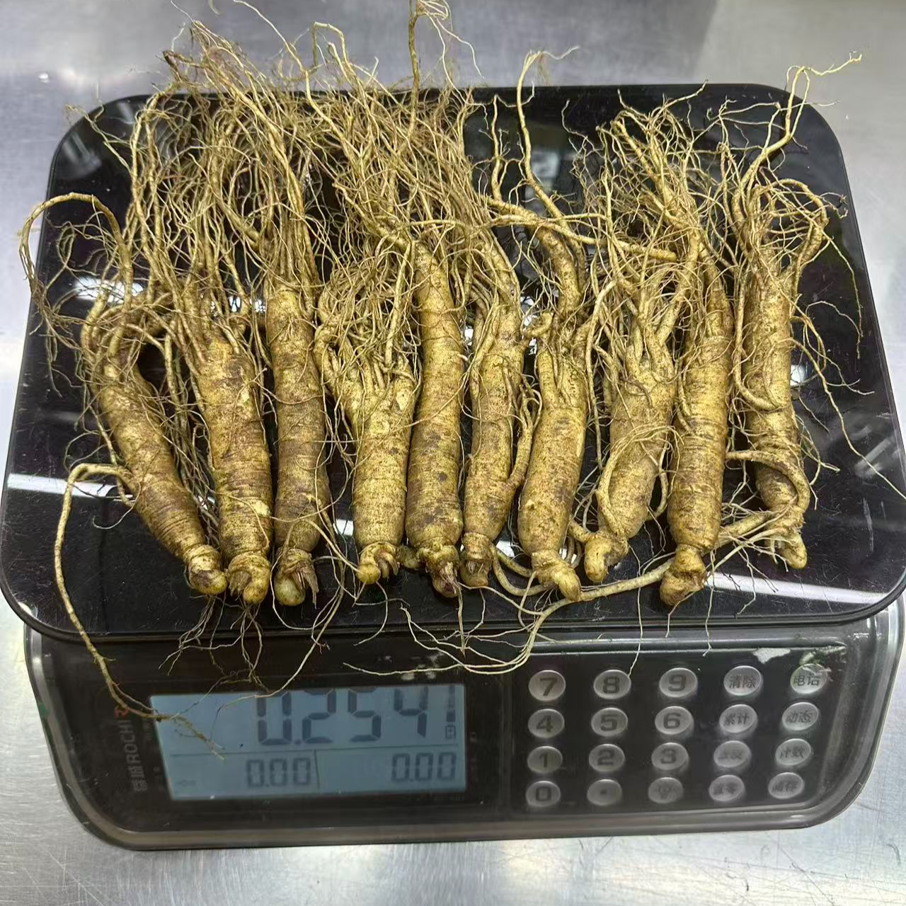 边条参半斤10根左右长白山新鲜人参煲汤泡酒吉林正宗参农直发