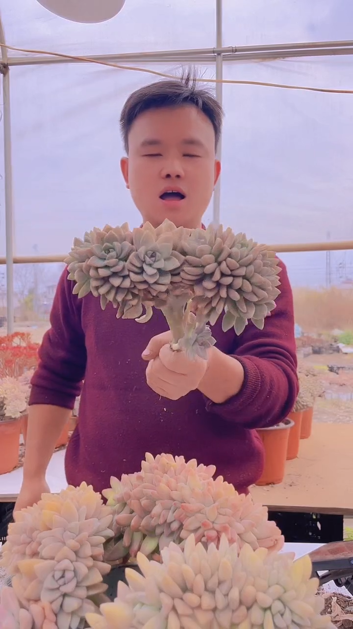 【闪购商品】缀化190