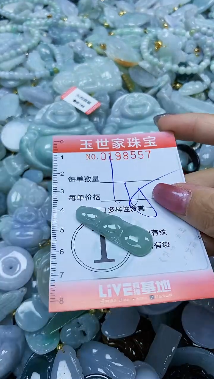 【闪购商品】翡翠颈饰未镶嵌闪购0198557