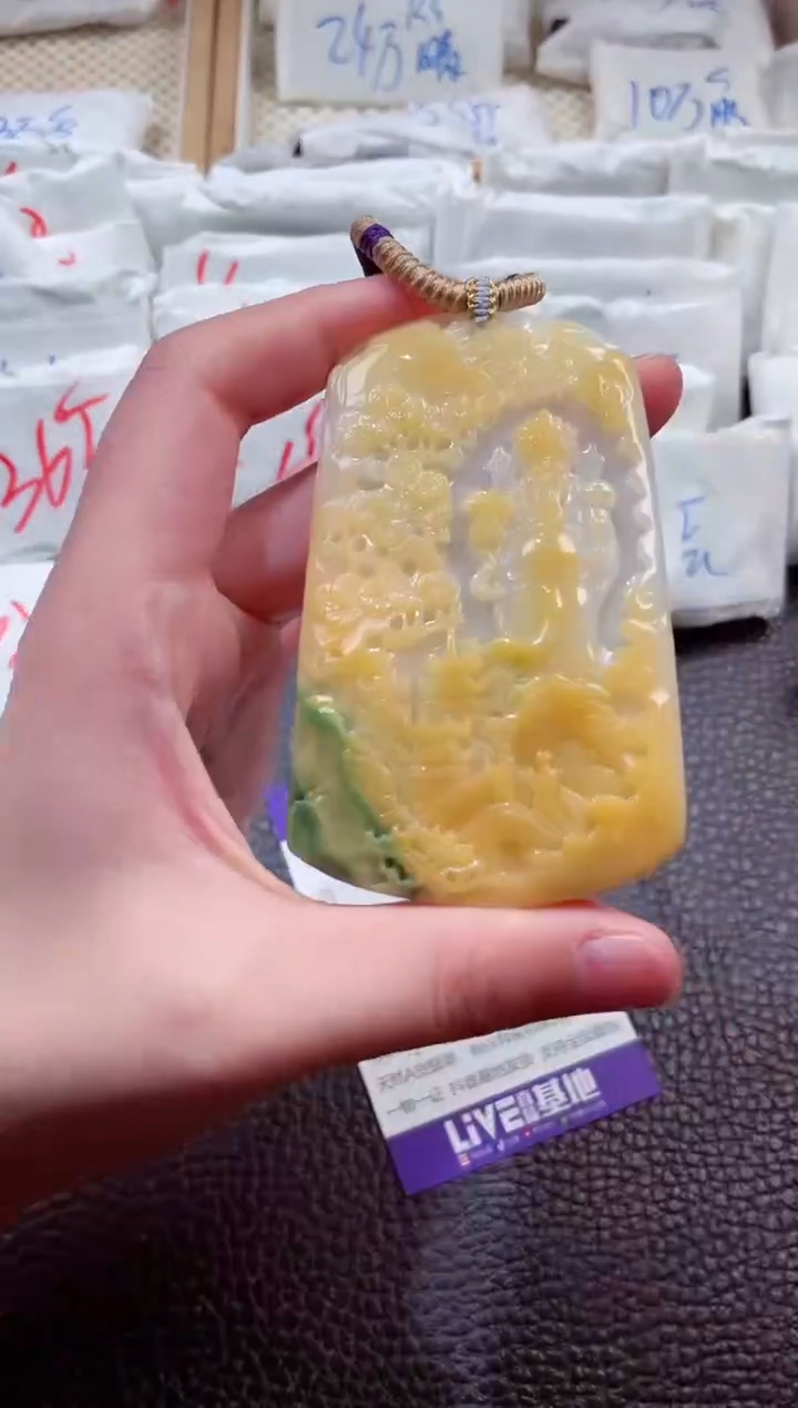 翡翠未镶嵌颈饰0000237