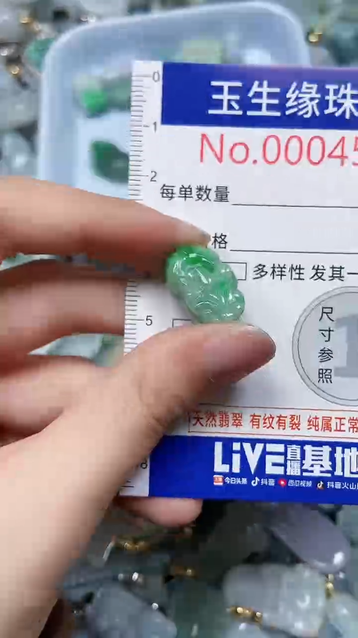 【闪购商品】翡翠颈饰未镶嵌闪购00004580