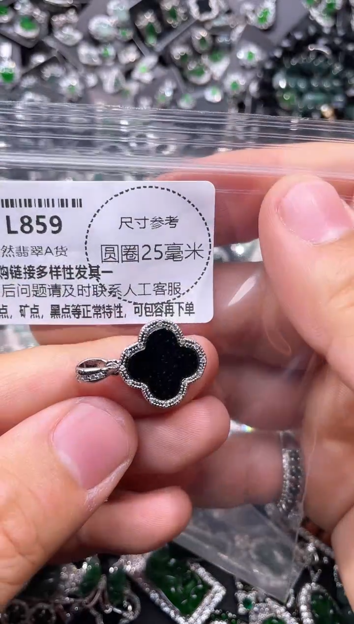翡翠未镶嵌颈饰L859吊坠