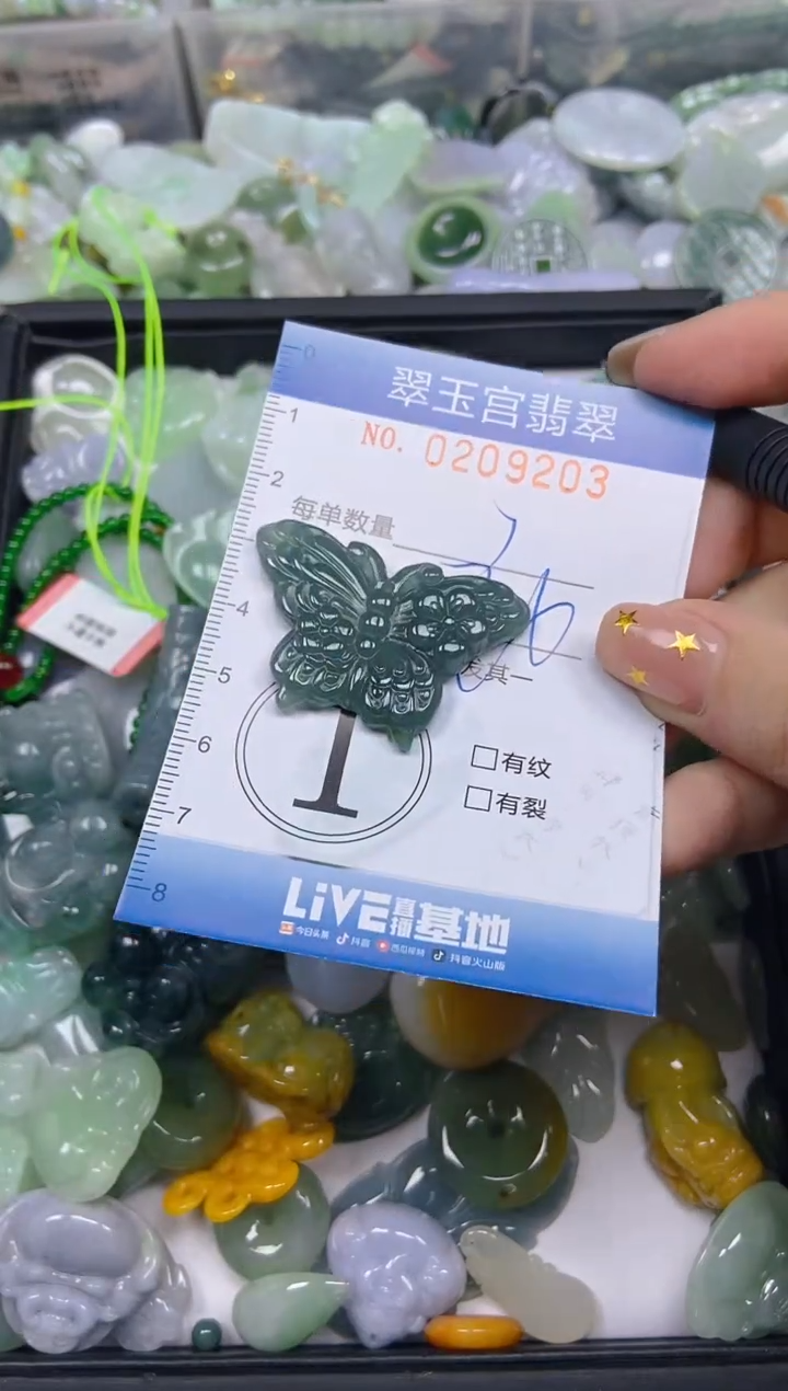 颈饰未镶嵌翡翠闪购C0209203