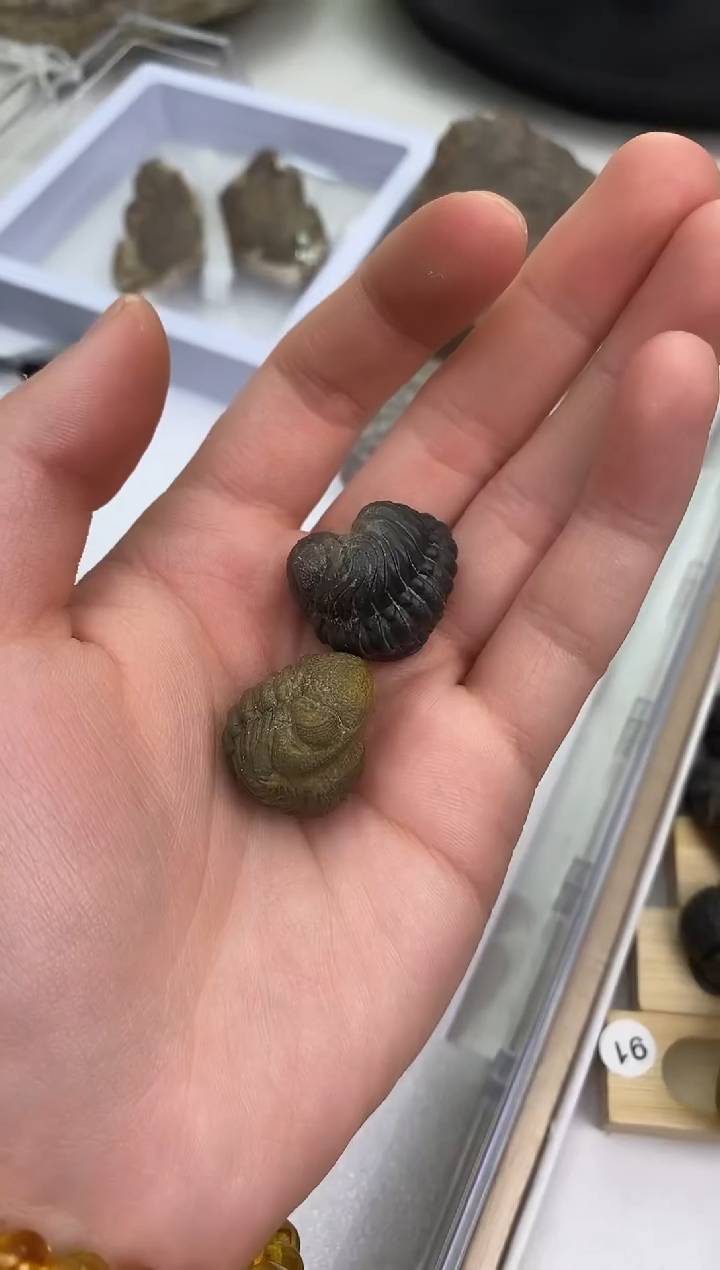 J****晖精美摆件创意礼物家居配饰新年礼物个人收藏