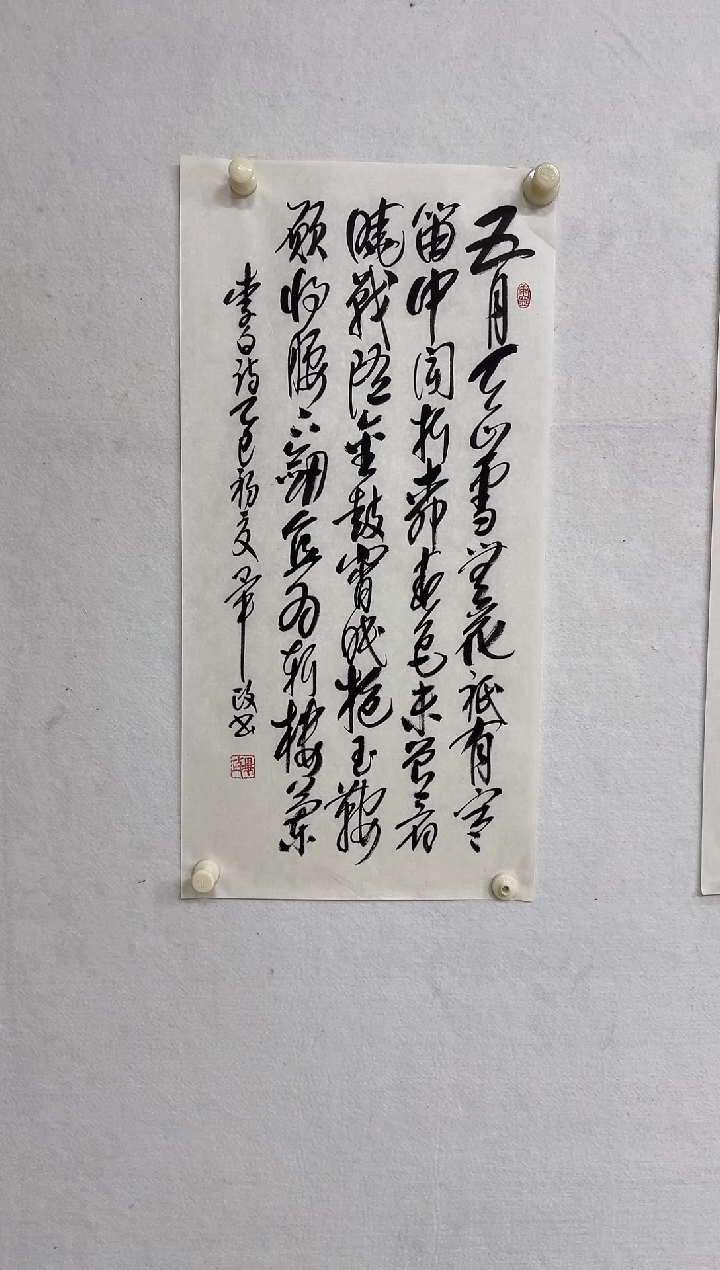 书法Z天津人美--毕政老师--2平尺书法作品