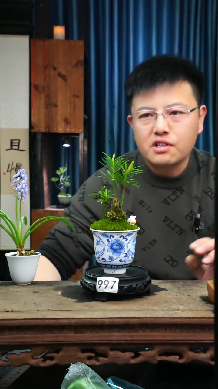 【闪购商品】苔藓微景观997号