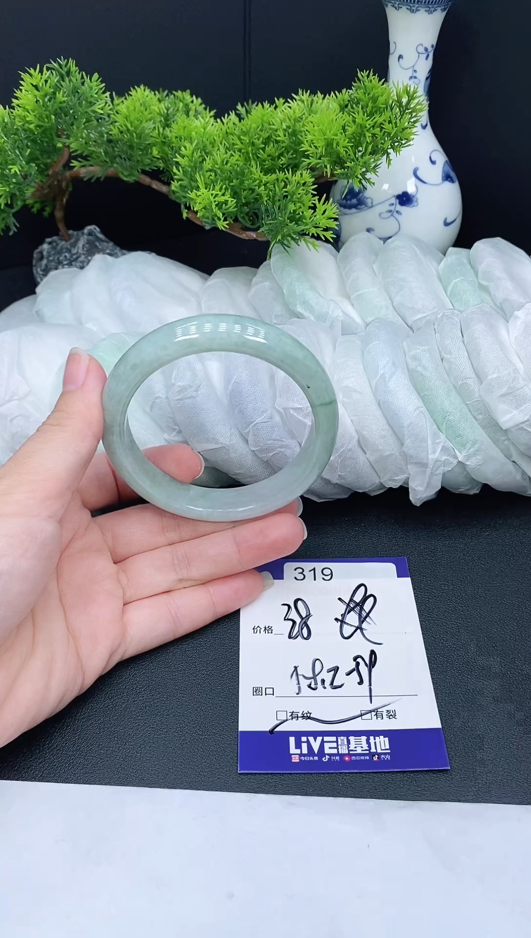 未镶嵌手镯翡翠319