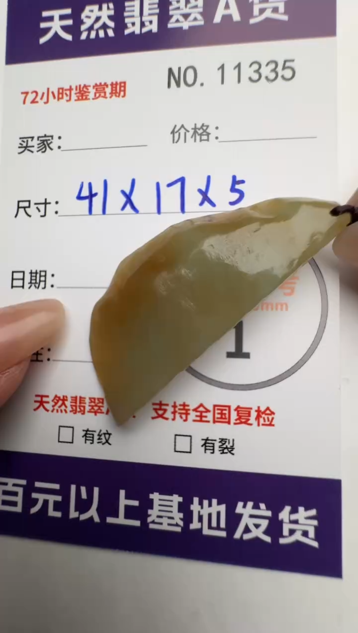 【闪购商品】翡翠颈饰未镶嵌原石11335