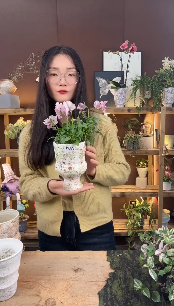 以实际为准角锦加盆一套811