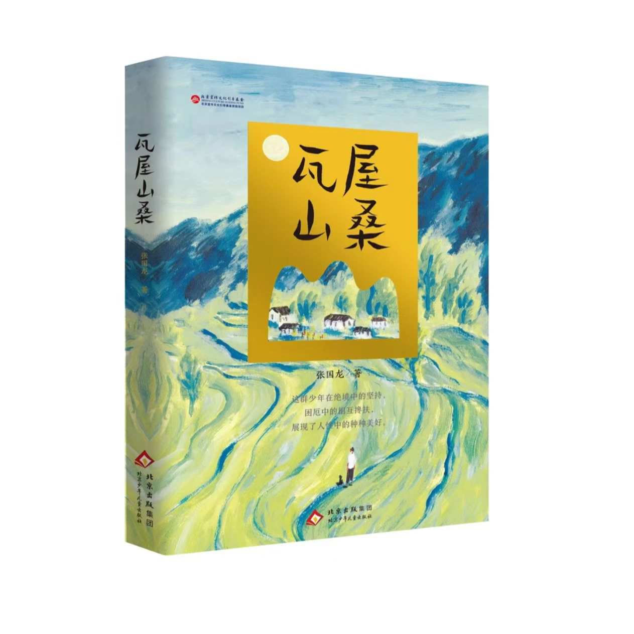  瓦屋山桑 张国龙 儿童读物 北京少年儿童出版社