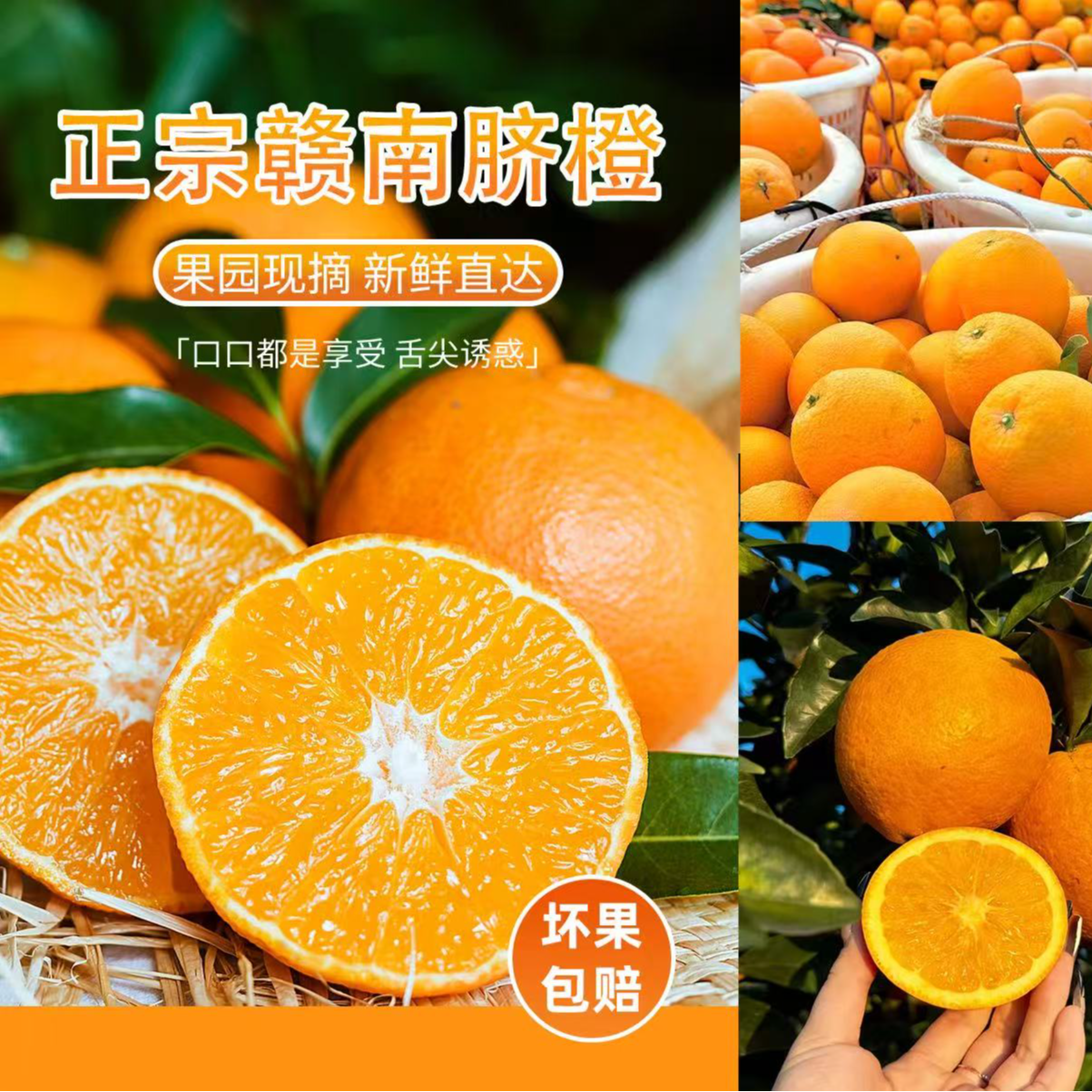 赣州直发新鲜赣南脐橙皮薄脆爽爆汁好吃的应季水果
