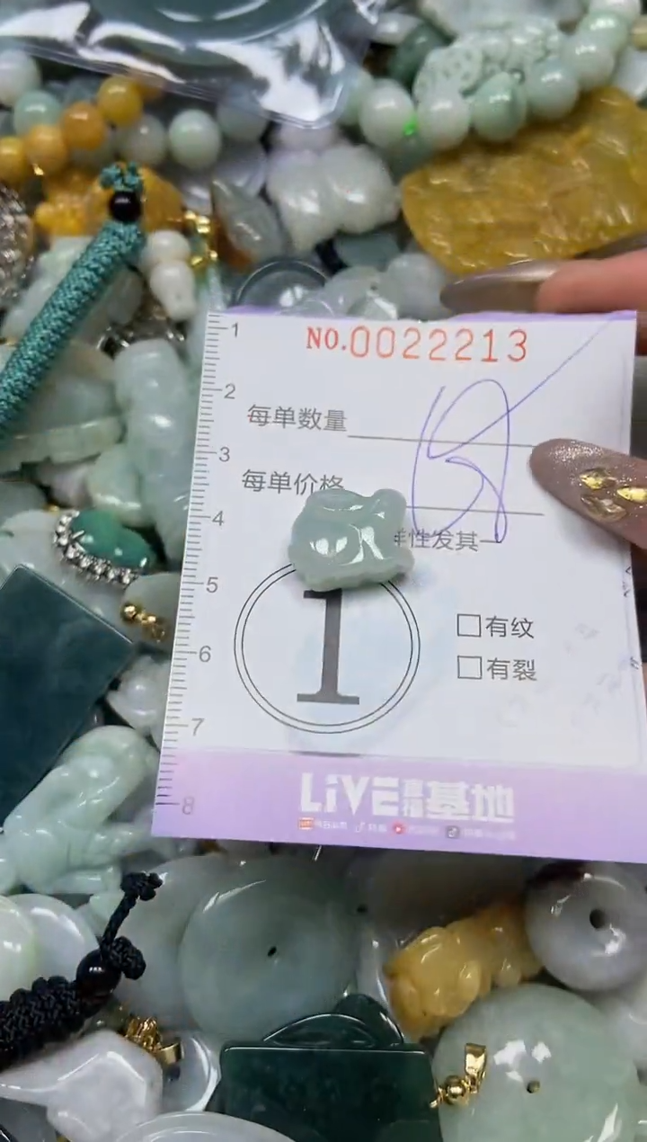 【闪购商品】翡翠颈饰未镶嵌闪购0022212