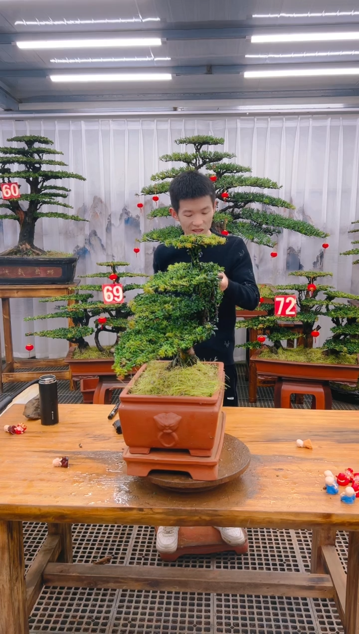 【闪购商品】紫砂精品盆景直播间一物一拍