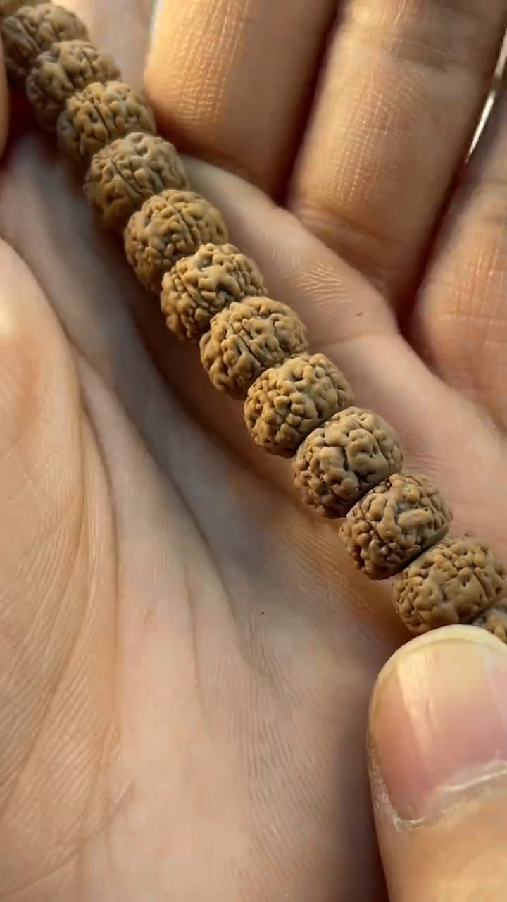 【闪购商品】金刚菩提吊坠真空包定制款饕餮10-18