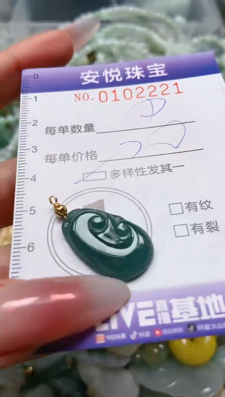 【闪购商品】翡翠颈饰未镶嵌闪购0102221多样性发其一