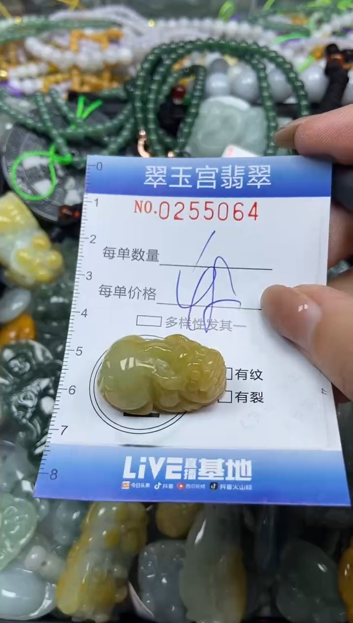 颈饰未镶嵌翡翠闪购C0255064