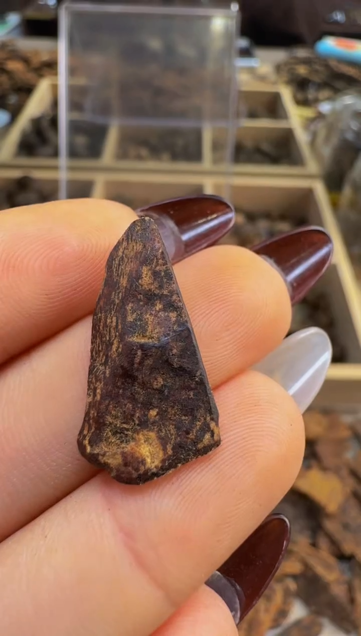 【闪购商品】沉香吊坠越南惠安红土