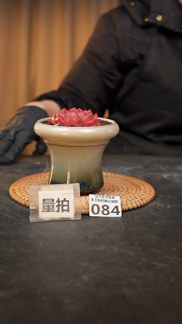 【闪购商品】瓷片084泥泥手工花盆口9高10