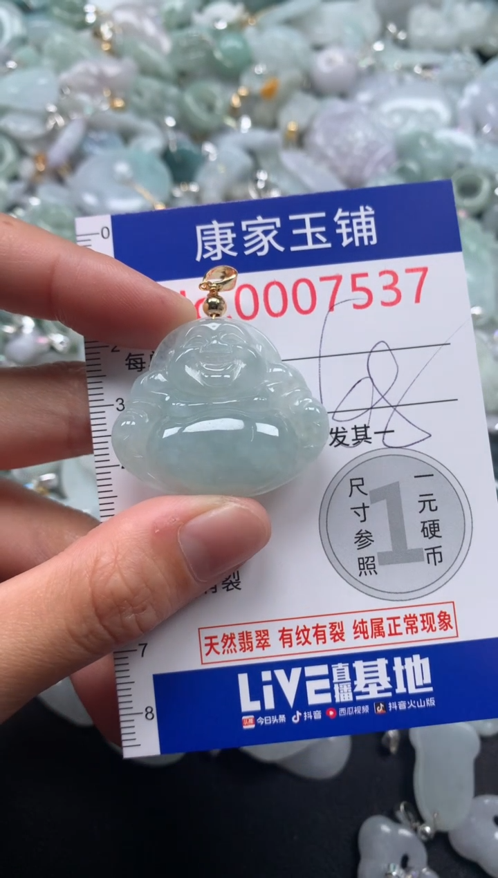 颈饰未镶嵌翡翠7537