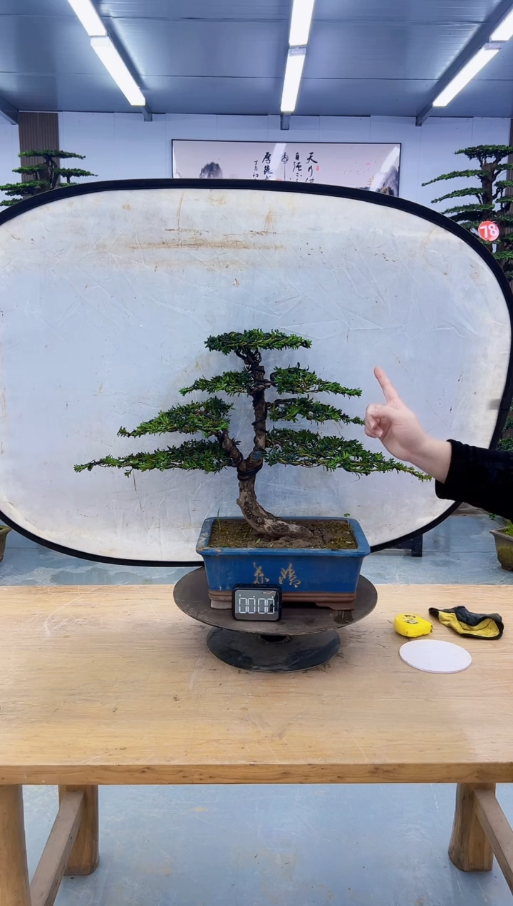 以实际为准000000000000