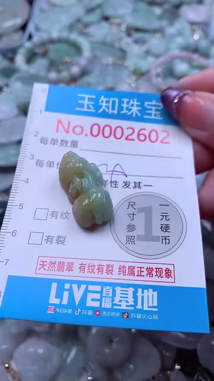 翡翠未镶嵌吊坠(不含链)2602