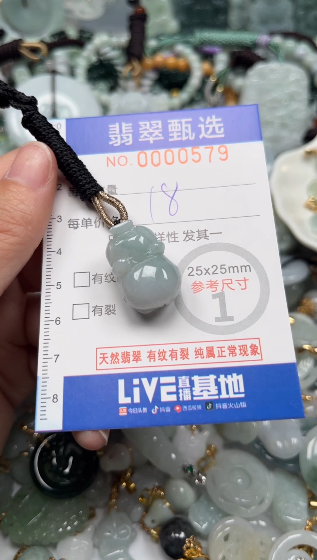 【闪购商品】翡翠颈饰未镶嵌00..0579