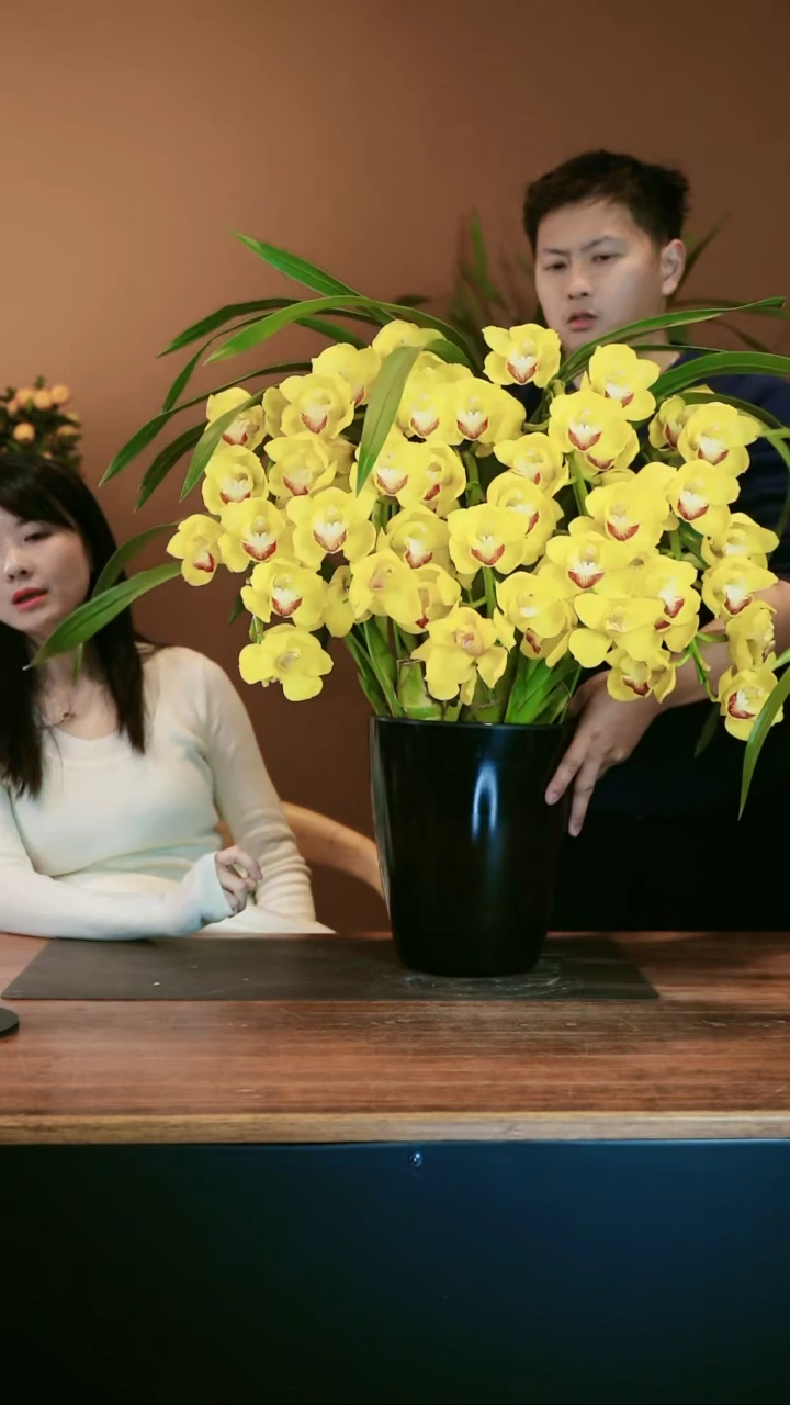 【闪购商品】盆景富贵同春 礼盒