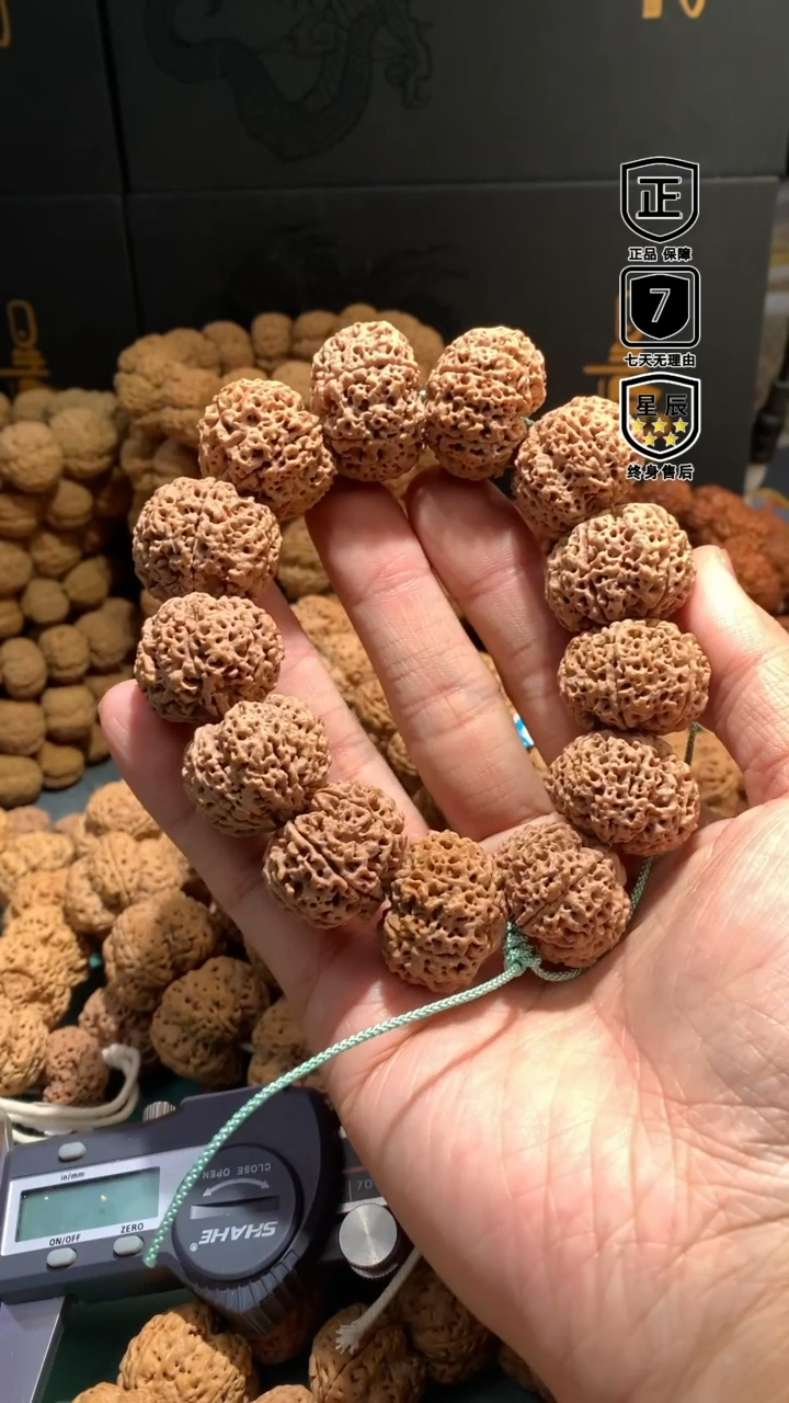 【闪购商品】金刚菩提手串5966666666