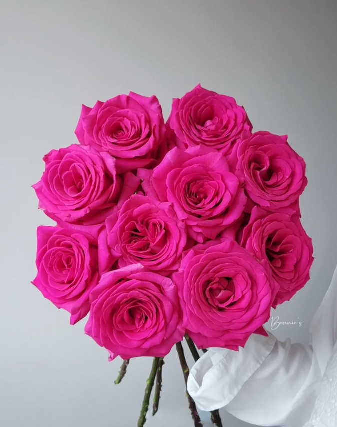 【玫瑰】弗洛依德 任拍三单顺丰空运包邮鲜切花家居花店插花