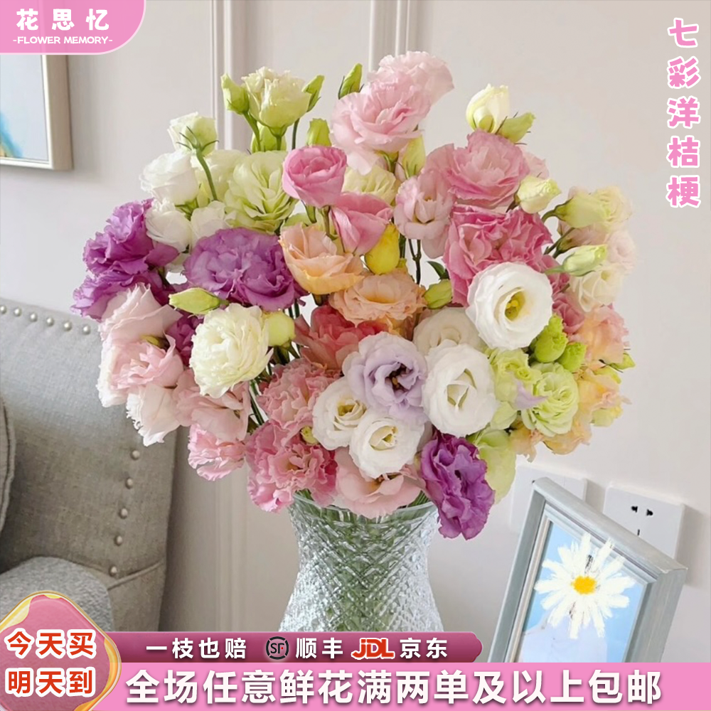特价『七彩洋桔梗一把』云南鲜切花 满两单鲜花顺丰京东送货上门 满三单鲜花送花瓶 洋桔梗鲜花直播次日达