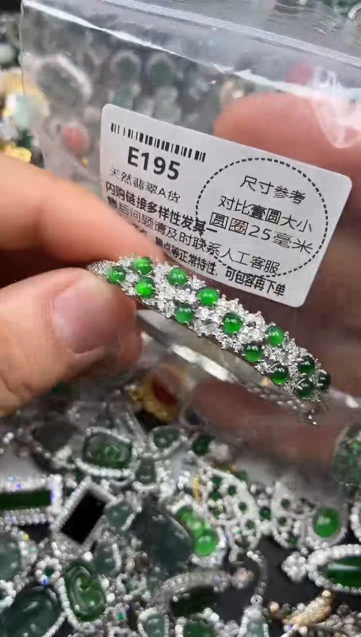 颈饰未镶嵌翡翠E195手镯