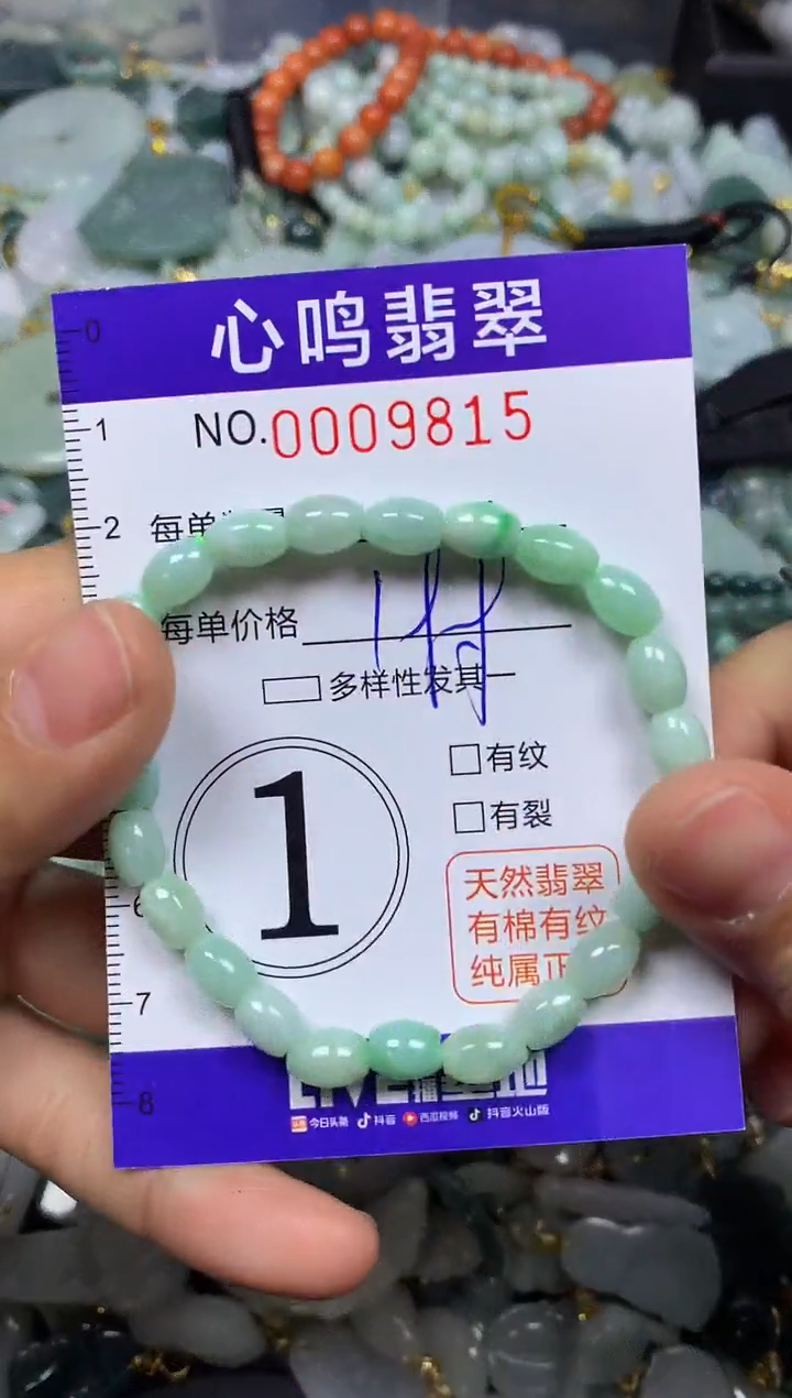 【闪购商品】翡翠颈饰未镶嵌闪购009815