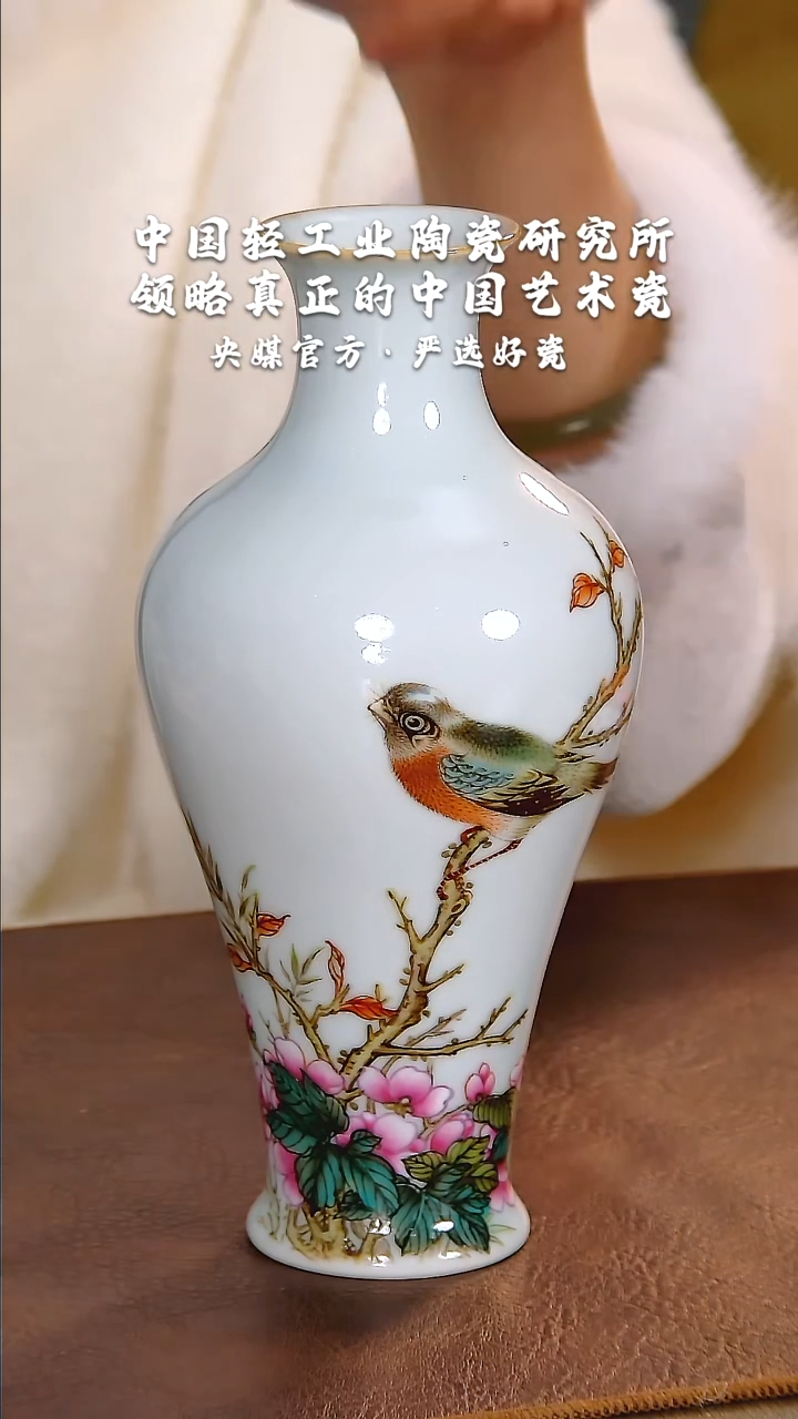 【闪购商品】瓷片陶瓷 研究所  流水69