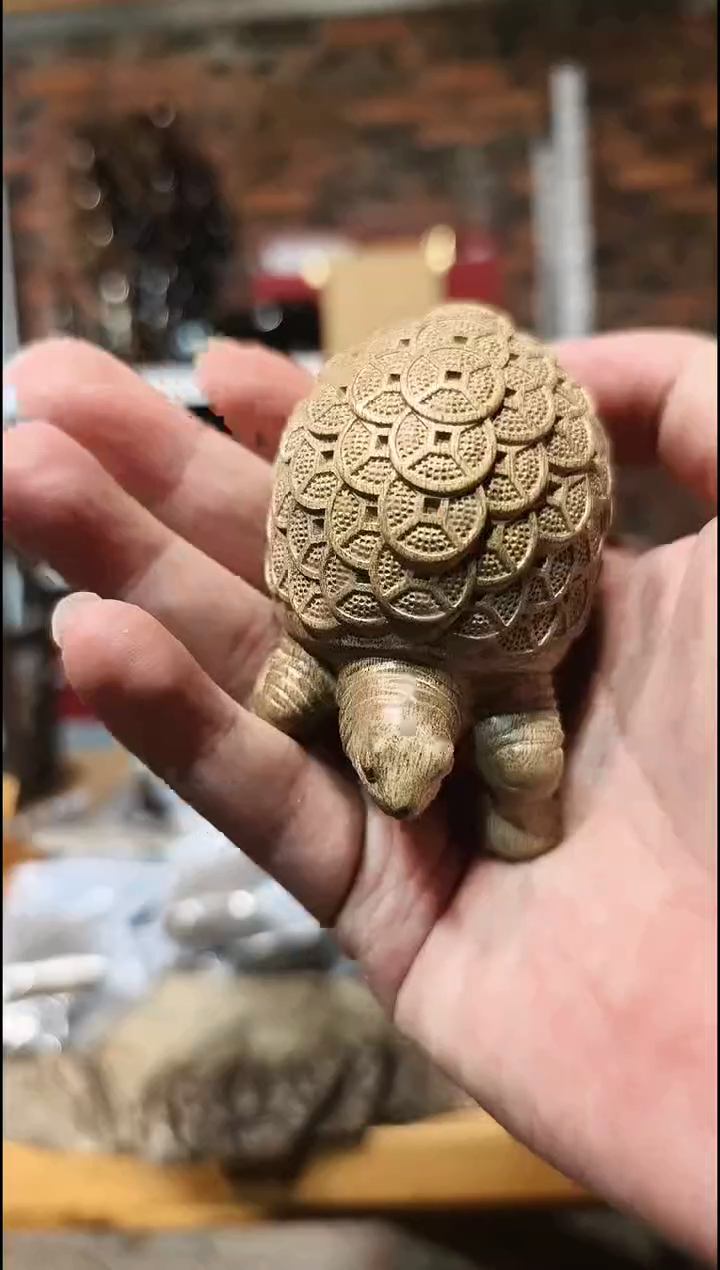 金丝楠    金钱龟