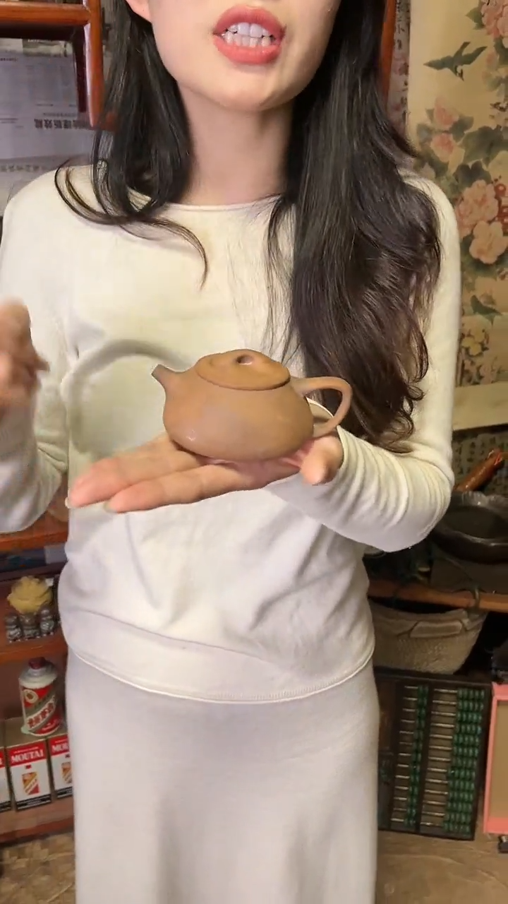 【闪购商品】石瓢老岩泥磨砂感茶壶