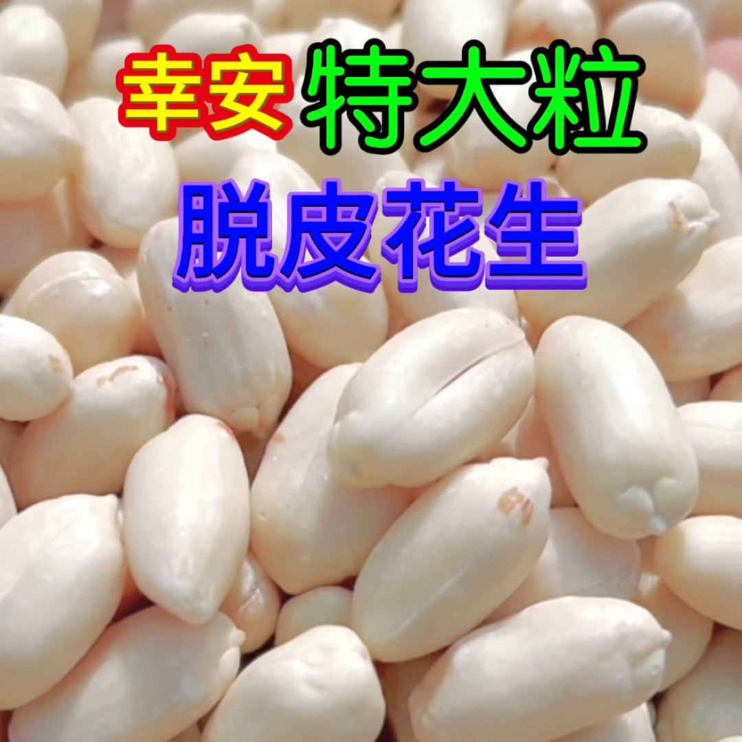 2025年特大粒脱皮花生新鲜生花生去皮花生剥皮花生超大花生白花生