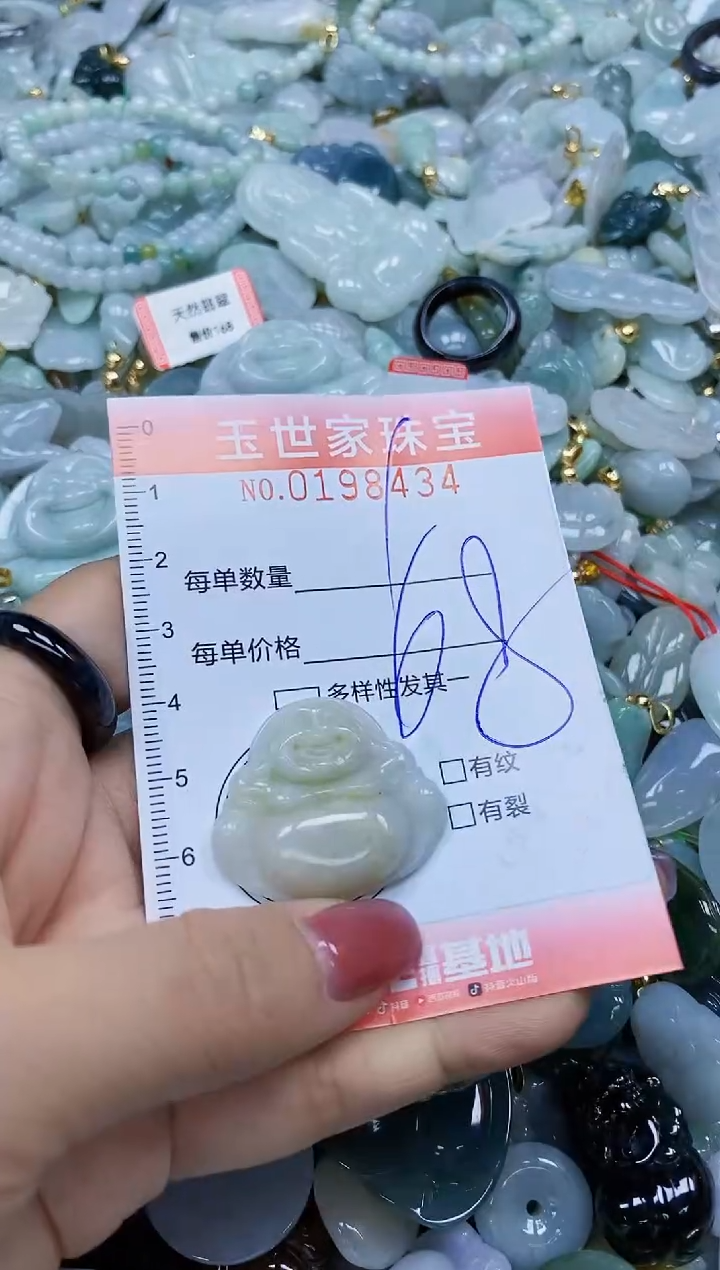 【闪购商品】翡翠颈饰未镶嵌闪购0198434