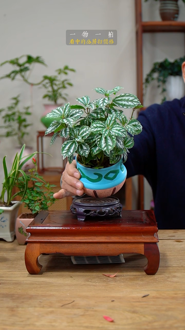 完全开放肖*豪冰水花125